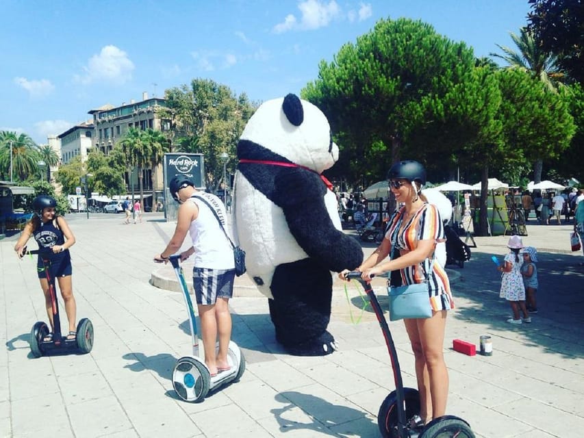 1 Hour Segway tour in Palma de Mallorca - Who Should Book This Segway Tour (And Who Should Skip It)