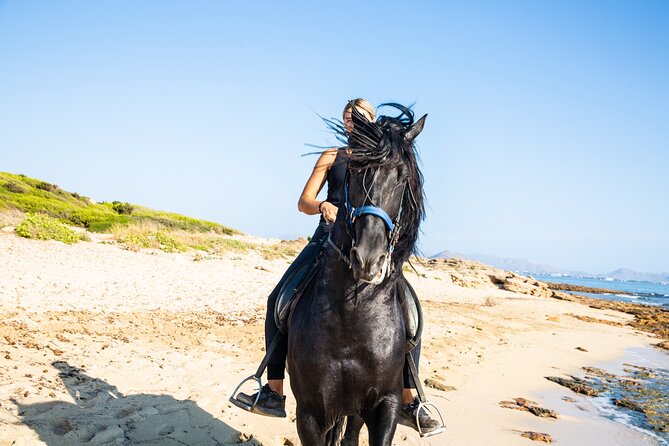 3-Hour Beach Horse Riding to Discover the Beauty of Alcudia Bay - Key Highlights at a Glance