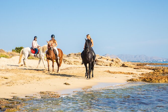3-Hour Beach Horse Riding to Discover the Beauty of Alcudia Bay - Horses, Helmets, and the Monitor Setup: Safety Without Drama