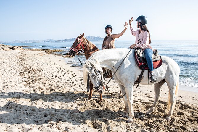 3-Hour Beach Horse Riding to Discover the Beauty of Alcudia Bay - Group Size of 20: How Mixed Skill Affects Your Experience