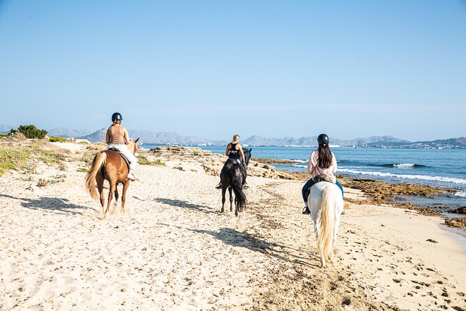 3-Hour Beach Horse Riding to Discover the Beauty of Alcudia Bay - Price and Value: What $90.12 Gets You (and What It Doesn’t)