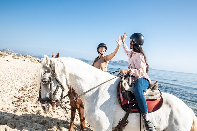 3-Hour Beach Horse Riding to Discover the Beauty of Alcudia Bay - Booking, Timing, and Weather Reality