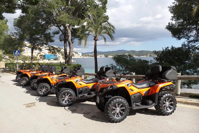 3 hours quad tour from Paguera - Magaluf and Palmanova: The Route Through Two Different Moods