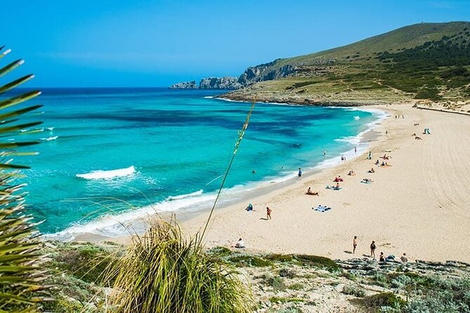 Afternoon Snorkel & Paddle Surf Experience in a Secret Spot - Quick Takeaways Before You Go