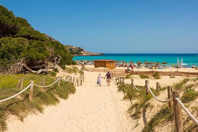 Afternoon Snorkel & Paddle Surf Experience in a Secret Spot - Price and Logistics: Is $116.80 Worth It?