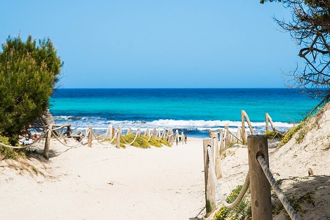 Afternoon Snorkel & Paddle Surf Experience in a Secret Spot - Who This Trip Fits Best (and Who Might Want Something Different)