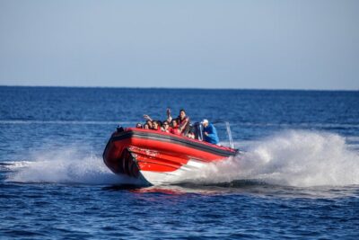 Alcudia: 2-hour Speedboat Sightseeing Adventure with Snorkel - What Makes the Adrenaline Feel Good (Not Just Loud)