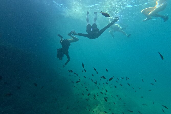Alcudia: Guided Sea Kayaking & snorkelling Tour (day & sunset) - Alcúdia Sea Kayaking Near La Victòria: What You’re Actually Buying