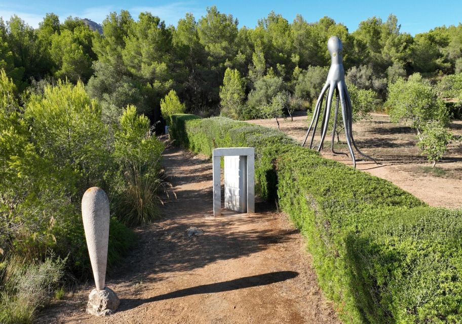 Alcudia: Museum Sa Bassa Blanca Entry Ticket - SoKrates: an underground Cabinet of Curiosities across five continents