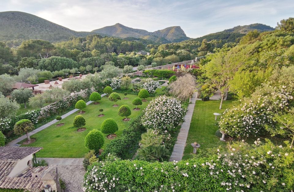 Alcudia: Museum Sa Bassa Blanca Entry Ticket - Contemporary art in a museum that treats architecture like part of the exhibit