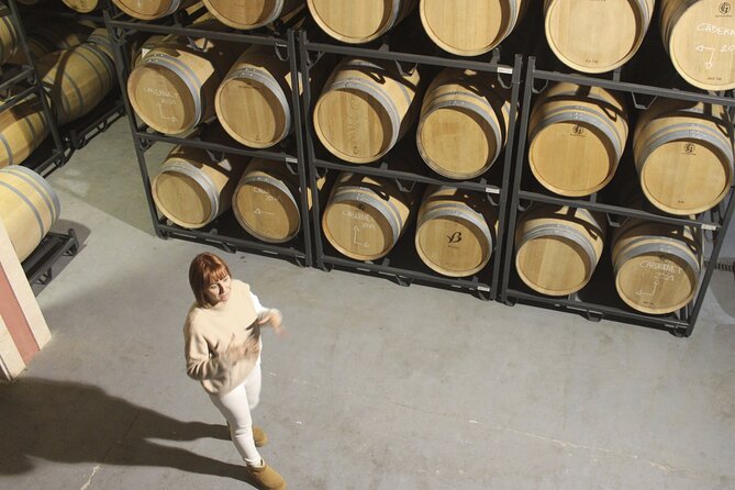 Alcudia Winecellar Tour with Vineyard Visit, Tasting of 5 Wines - Pace and logistics: 3:30 pm timing and small-group comfort