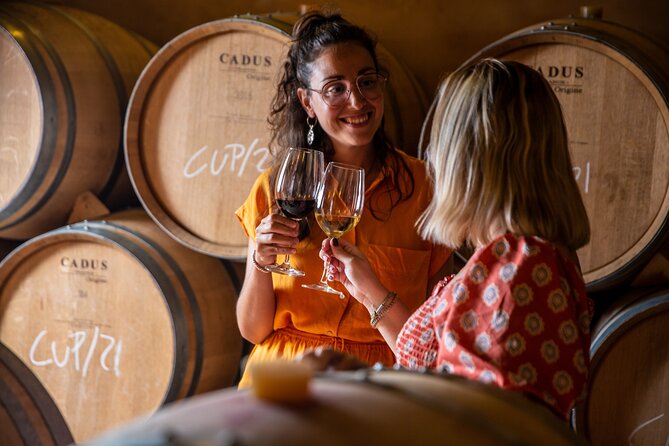 Alcudia Winecellar Tour with Vineyard Visit, Tasting of 5 Wines - Price and value: what $53.52 gets you