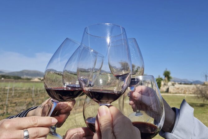 Alcudia Winecellar Tour with Vineyard Visit, Tasting of 5 Wines - Who should book this Alcúdia winecellar tour