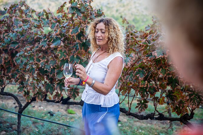 Alcudia Winecellar Tour with Vineyard Visit, Tasting of 5 Wines - Should you book Bodegas Butxet? My practical take
