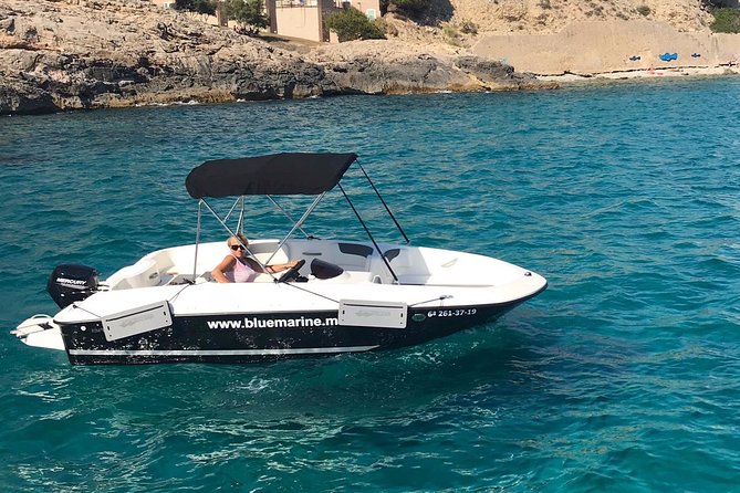 Bluemarine.me license free Bayliner Element E5 rental - License-Free Bayliner Element E5: The Real Point of This Rental