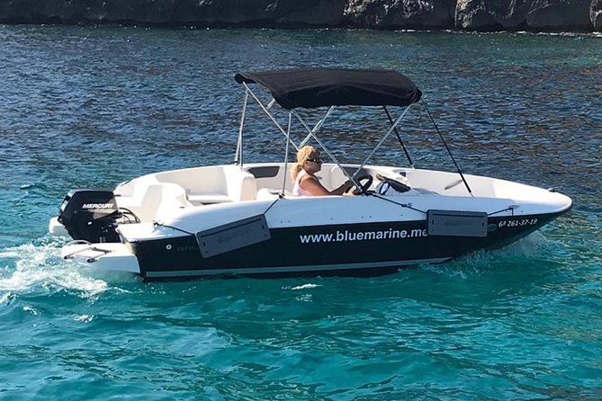 Bluemarine.me license free Bayliner Element E5 rental - Santa Ponsa Meeting Point and Timing: How to Start Without Stress