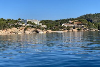 Bluemarine.me license free Bayliner Element E5 rental - What You’ll See: Secluded Bays, Beaches, and Dolphin/Sunset Chances