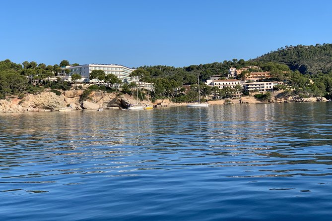 Bluemarine.me license free Bayliner Element E5 rental - What You’ll See: Secluded Bays, Beaches, and Dolphin/Sunset Chances