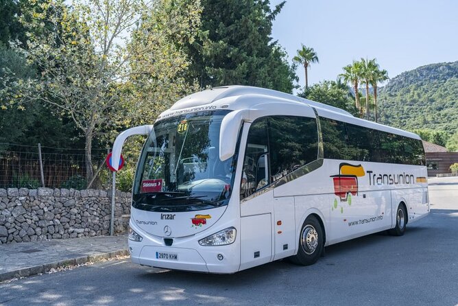 Boat, Tram and Train Tour in Mallorca from the South - Tour value: how $121.52 adds up (and where it can disappoint)