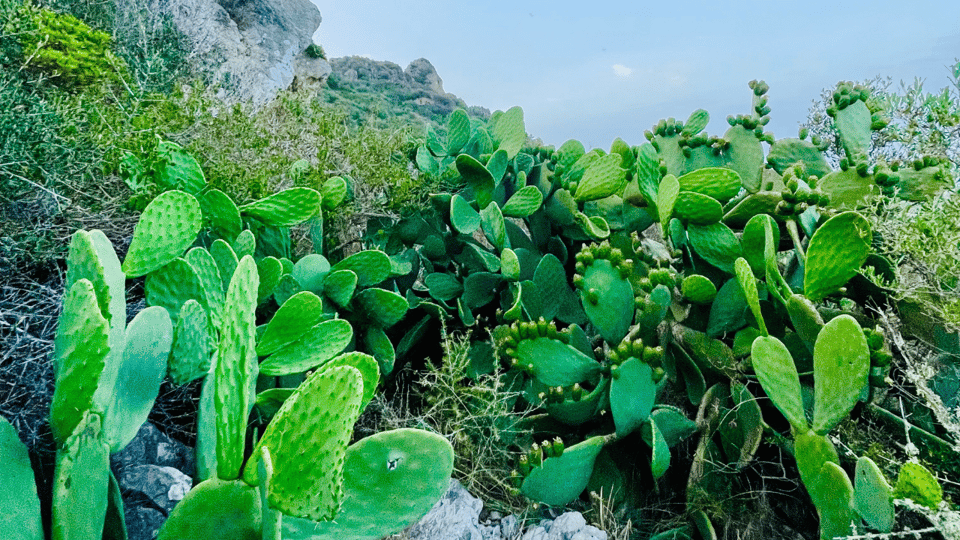 Cala Millor: "Cavemen", cave on a mountain,fun game and hike - Who it suits best (and who might want a simpler hike)