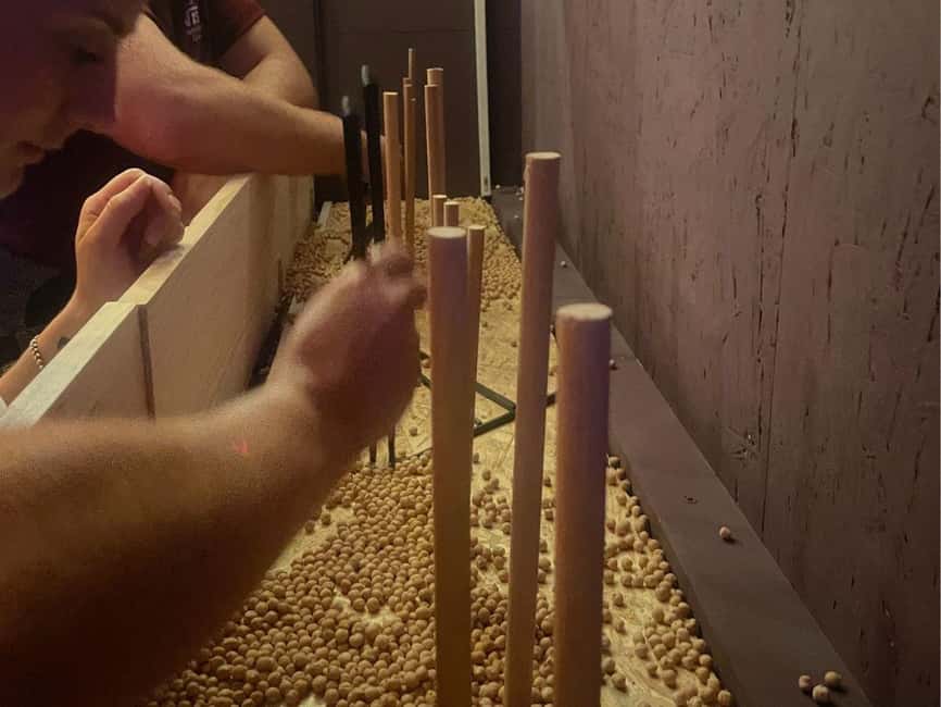 Cala Millor: indoor game "FunChallenge",duels,creative tasks - Price and value: $35 per group up to 4