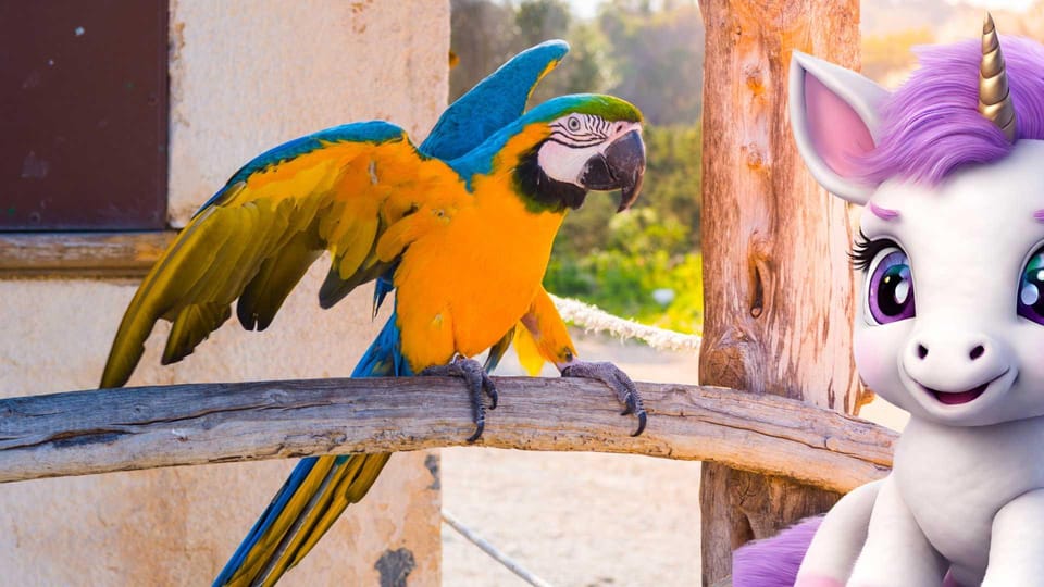 Cala Millor: Magical Creatures of Cala Millor, family game - Who This Tour Is Best For (and Who Might Feel Underwhelmed)