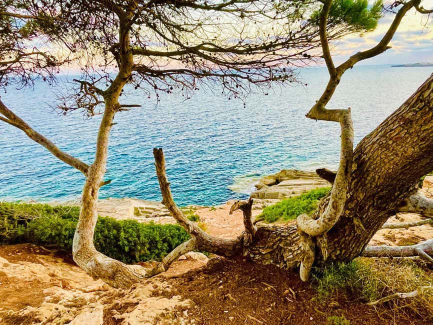 Cala Millor: real treasure hunt in natural reserve, fun walk - Key Points to Know Before You Go
