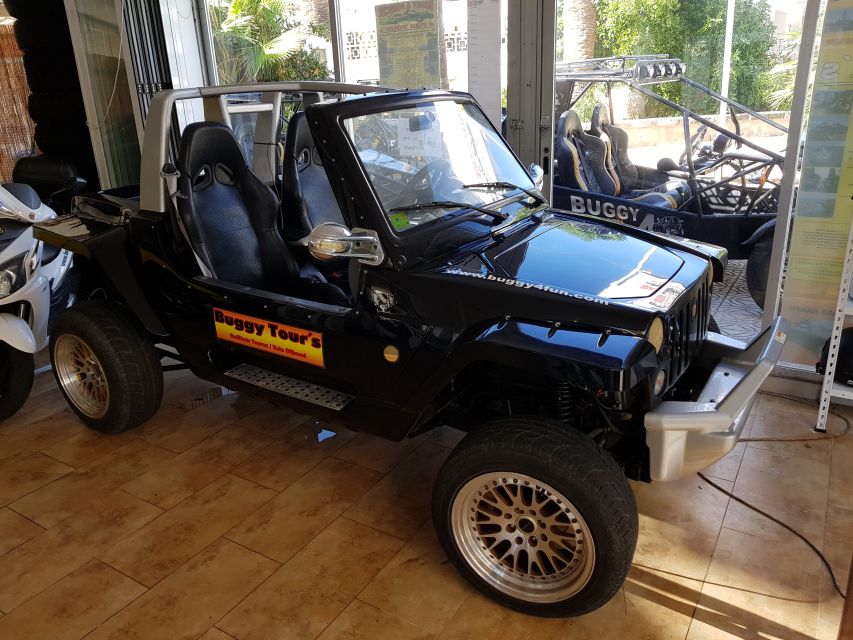Cala Millor & Sa Coma: Jeep Touren – Natur entdecken - Why Cala Millor & Sa Coma by Mini-Jeep Works