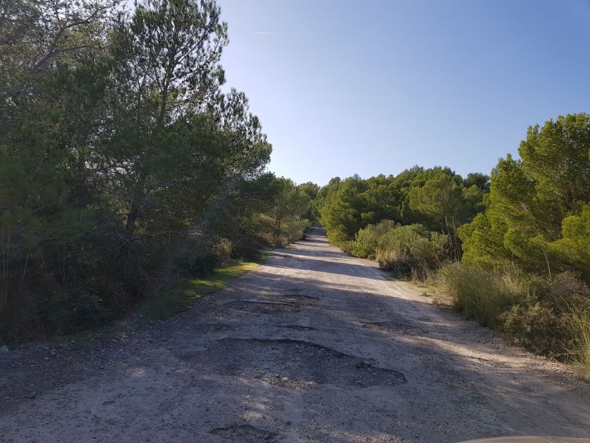 Cala Millor & Sa Coma: Jeep Touren – Natur entdecken - Coves d’Artà: The Break That Changes the Feel of the Day