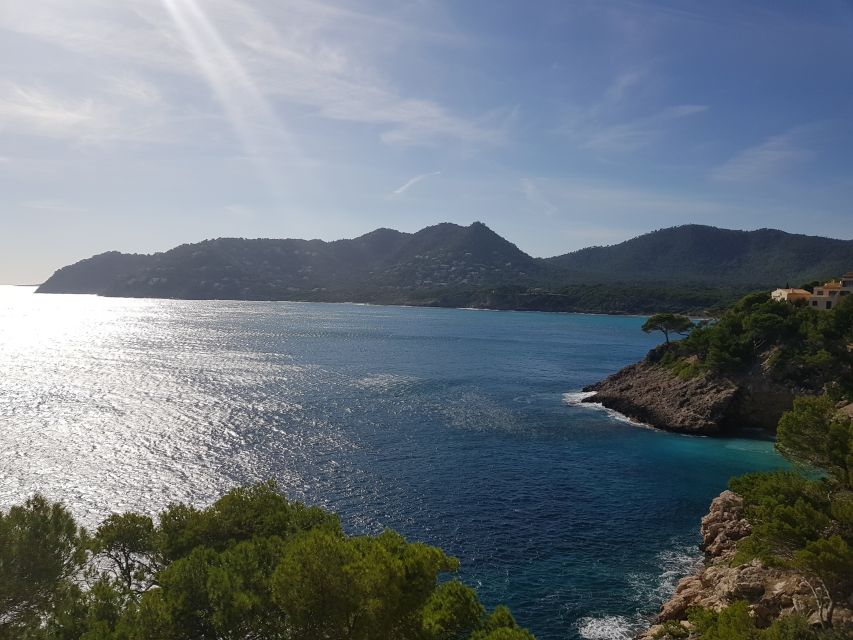 Cala Millor & Sa Coma: Jeep Touren – Natur entdecken - Swim Stop in the Bay: When the 3.5-Hour Option Makes Sense