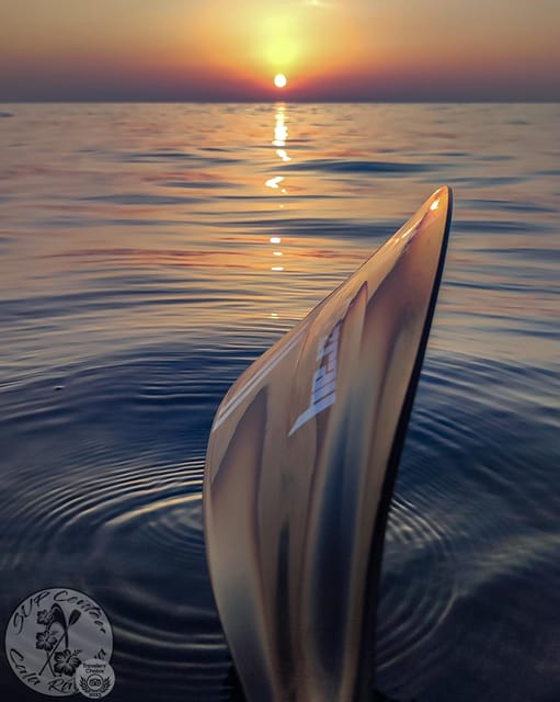 Cala Ratjada: Stand Up Paddle Sunrise Tour - Meeting Cala Agulla and getting yourself set up