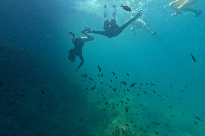 Cala Varques: Guided kayak Sea caves expedition & snorkeling - How the 3-hour schedule feels on the water