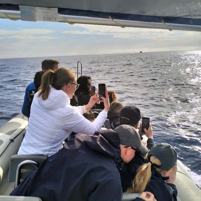 Can Picafort or Alcudia: Customizable Private Boat Day Trip - The human factor: captain skill and the guide experience