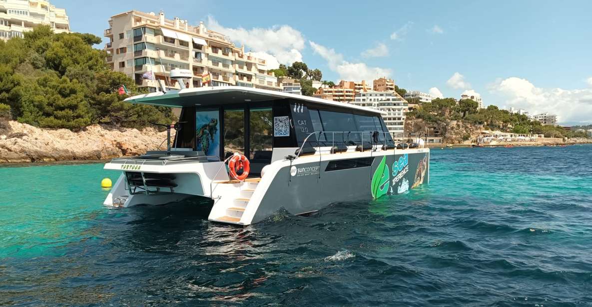 CATAMARAN ECO EXPERIENCE at Palma Bay - Who should book this eco catamaran experience