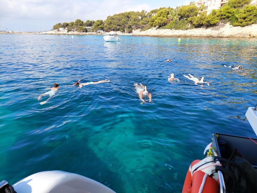 CATAMARAN ECO EXPERIENCE at Palma Bay - Your on-board guide experience with Leonardo (and Silvia)