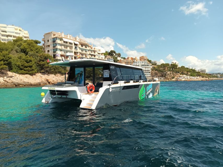 CATAMARAN ECO EXPERIENCE at Palma Bay - Snacks, water, and the relaxed pace of an eco cruise