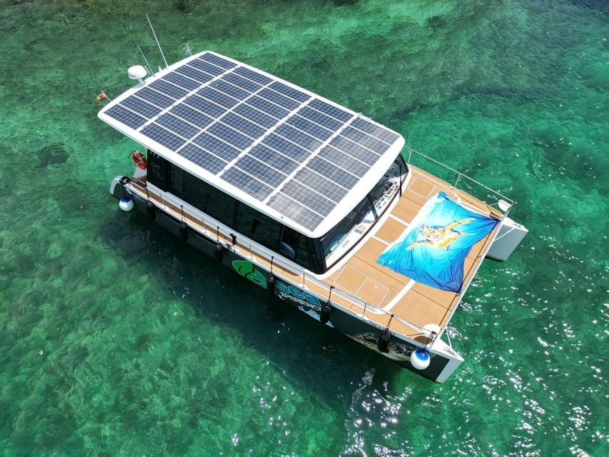CATAMARAN ECO EXPERIENCE at Palma Bay - Picking the right time slot: morning, afternoon, and sunset options