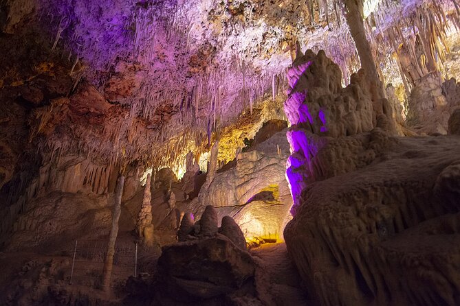 Caves Drach Boat Trip from Alcudia with Return Bus and Tickets - Caves of Drach Boat Trip from Alcudia: What You’re Really Signing Up For