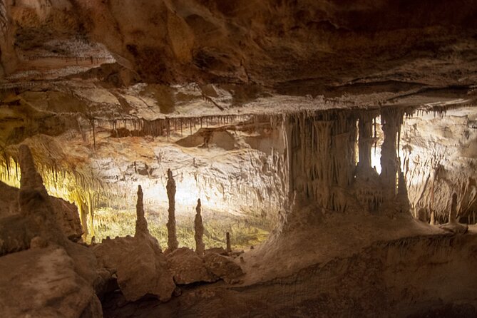 Caves Drach Boat Trip from Alcudia with Return Bus and Tickets - The Lake Martel Music Concert: The Moment Most People Will Remember