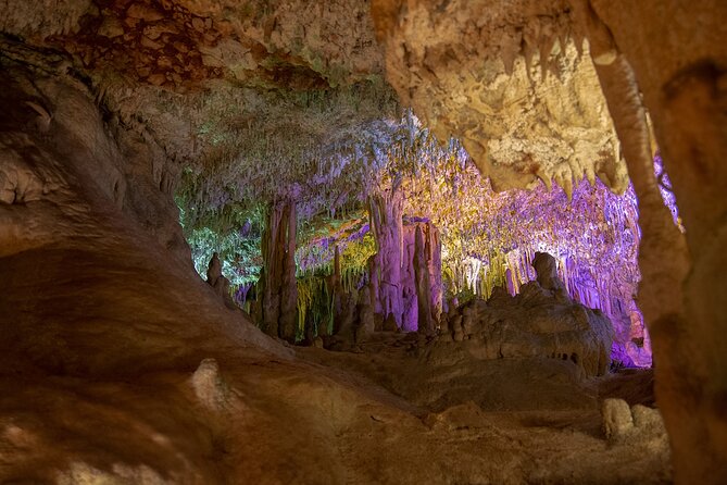Caves Drach Boat Trip from Alcudia with Return Bus and Tickets - What the Whole Day Feels Like: Timing, Pace, and Comfort