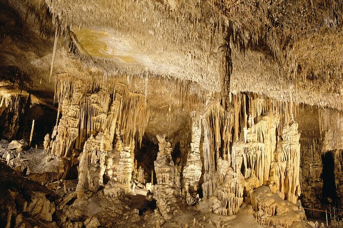 Caves Drach Tour & Return Transfer from Cala Dor-Calas Mallorca - Cala d’Or Pickup That Keeps Your Day on Track