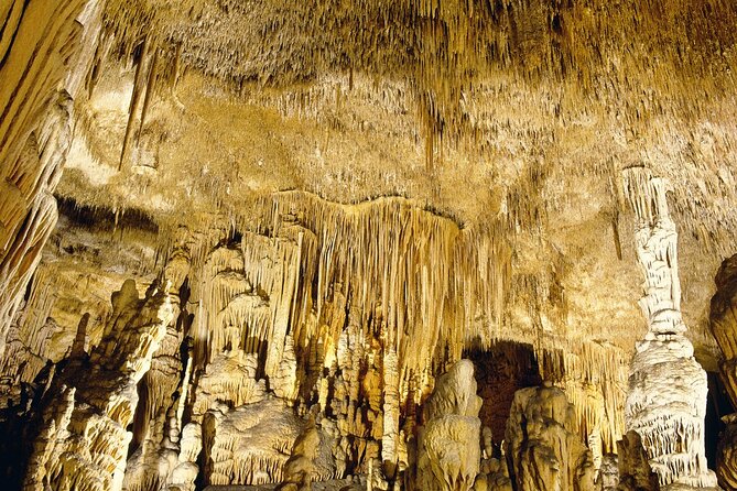 Caves Drach Tour & Return Transfer from Cala Dor-Calas Mallorca - Majorica Pearls Stop: A Factory Visit Plus a Shop (About 30 Minutes)