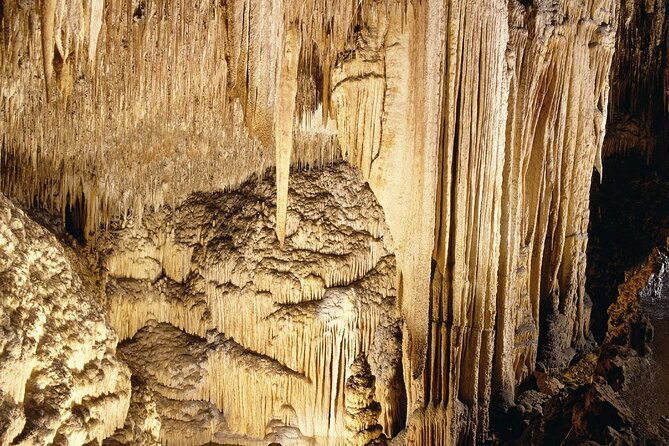 Caves Drach Tour & Return Transfer from Cala Dor-Calas Mallorca - Price and Value: What Your $67.49 Is Really Paying For