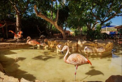 Costa d'en Blanes: Entry Ticket for Marineland Mallorca - What your Marineland Mallorca entry ticket really includes