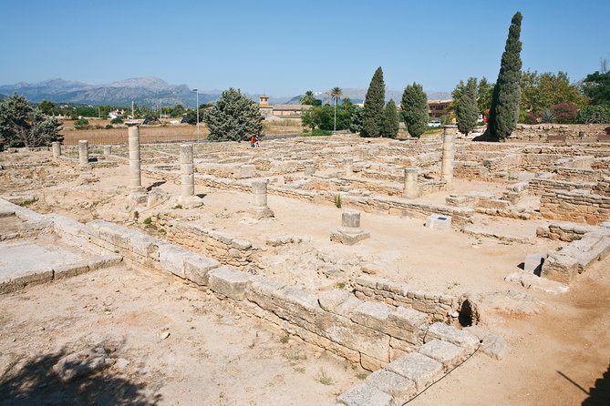 Discover Alcudia old town on a private walking tour - First stop: Alcúdia Old Town’s lanes, square, and town hall significance