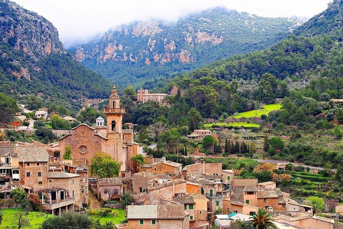 Discover the major cultural attractions of Palma De Mallorca on a Private Tour - Price and Value: What $574 Gets You (and Why Private Can Be Worth It)