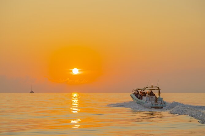 Dolphin watching by boat - When Weather Doesn’t Cooperate (And How the Tour Handles It)