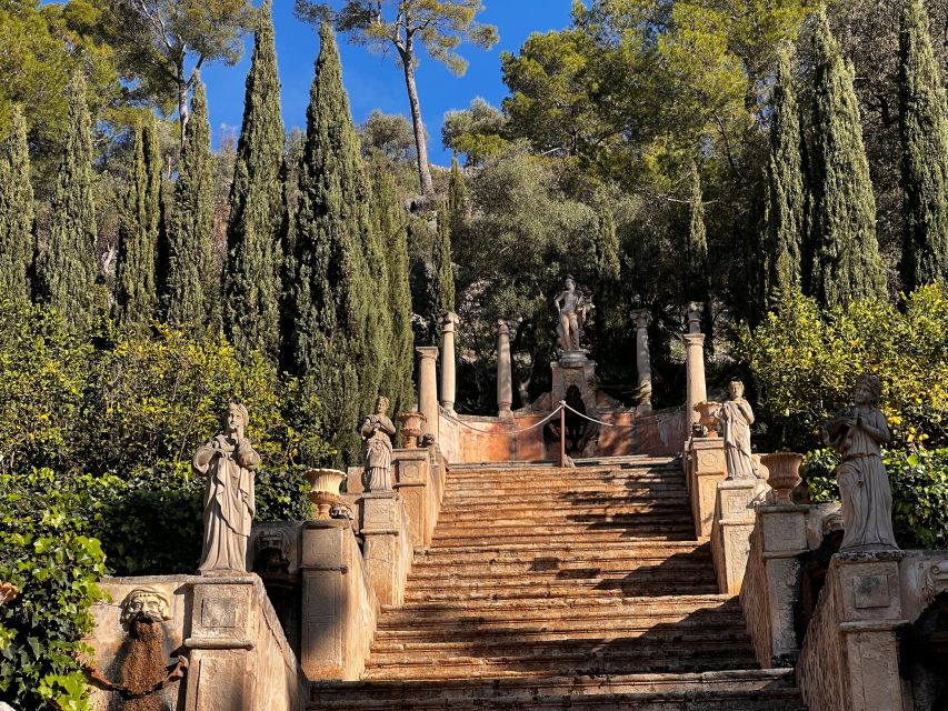 Embrace the enchantment of Mallorca's almond blossom season - Key Highlights You’ll Feel Immediately