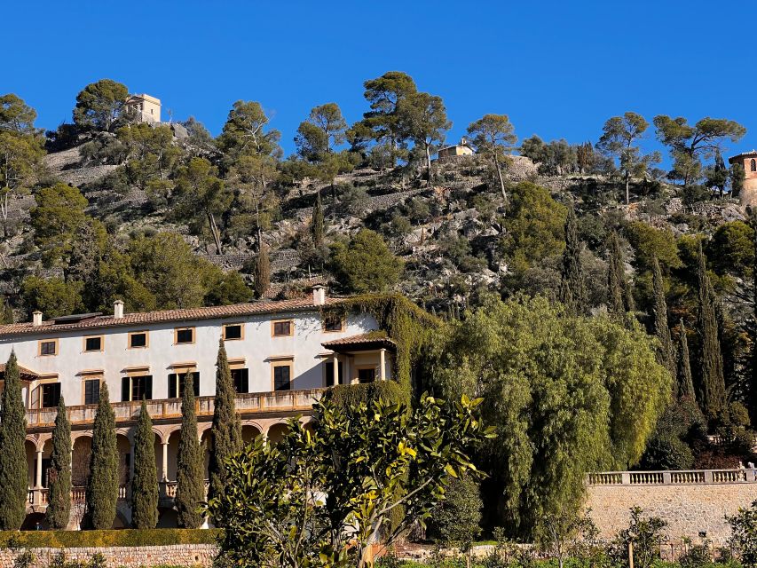Embrace the enchantment of Mallorca's almond blossom season - When Mallorca Turns Pink and White in February to March