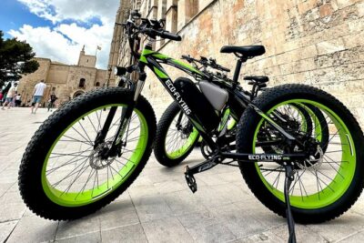 Exclusive Fat Tire E-Bike Tour in Palma - Parc de la Mar and Ca’n Pere Antoni: the cathedral area from below